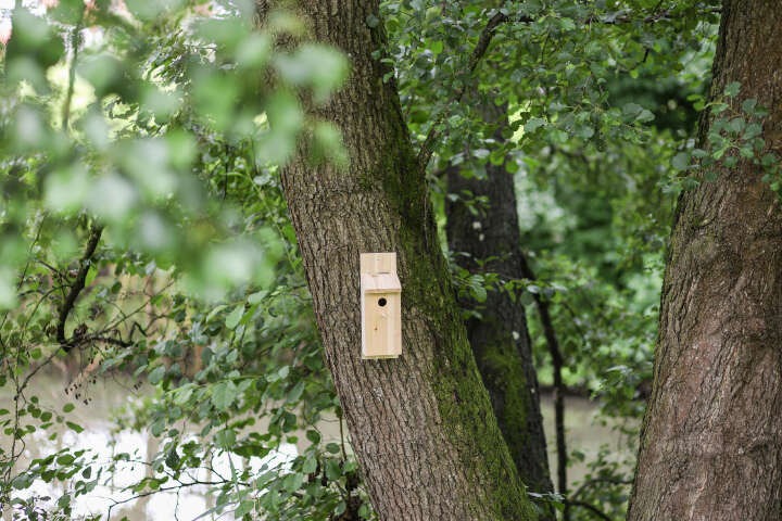KERBL Nistkasten Selbstbauset